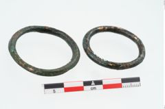 Foto von Bronzering (NHMW-PRAE-026289)